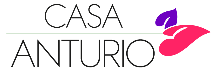 Casa Anturio