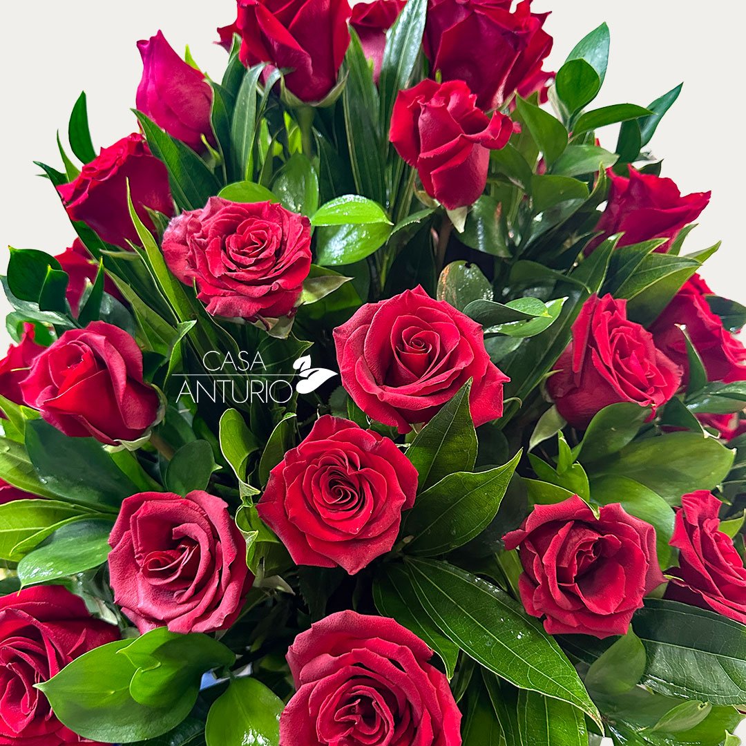 Arreglo de Rosas Rojas - Imagen 4