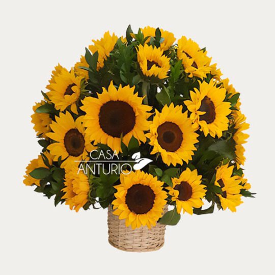 Canasta de Girasoles