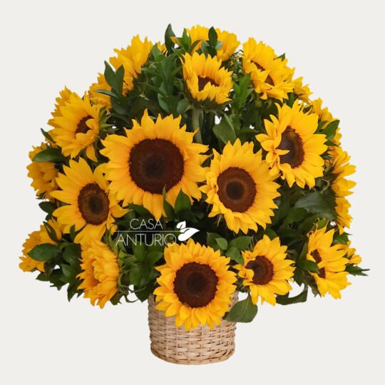 Canasta de Girasoles