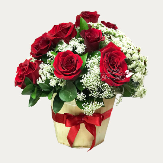 Arreglo de Rosas Rojas