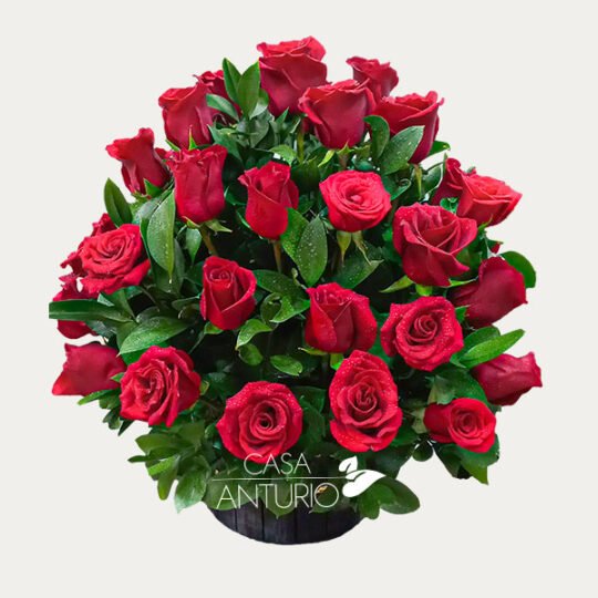 Arreglo de Rosas Rojas