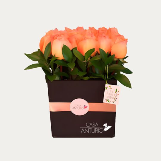 Caja de Rosas Salmón