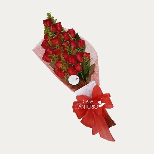 Bouquet de Rosas Rojas con Moño