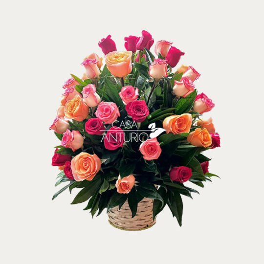 Canasta de Rosas Naranjas, Fucsia y Salmón