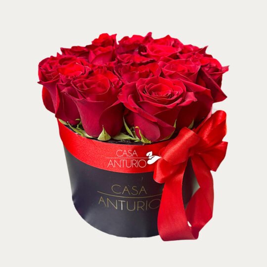 Arreglo Circular de Rosas Rojas