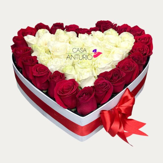 Arreglo Corazón en Rosas Rojas y Blancas