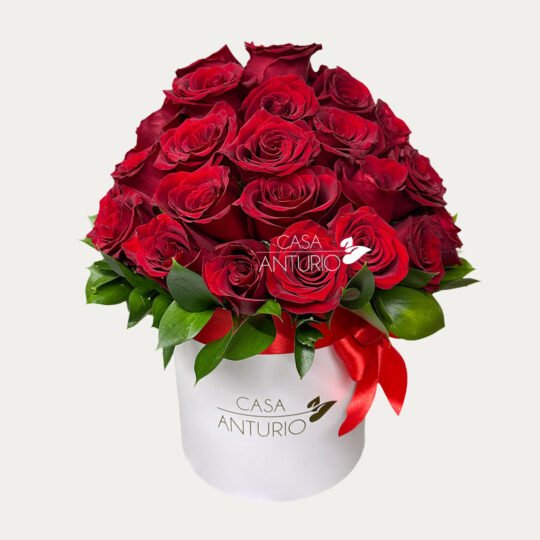 Caja Circular de Rosas Rojas