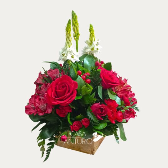 Arreglo en Rosas, Cafeto y Astromelia