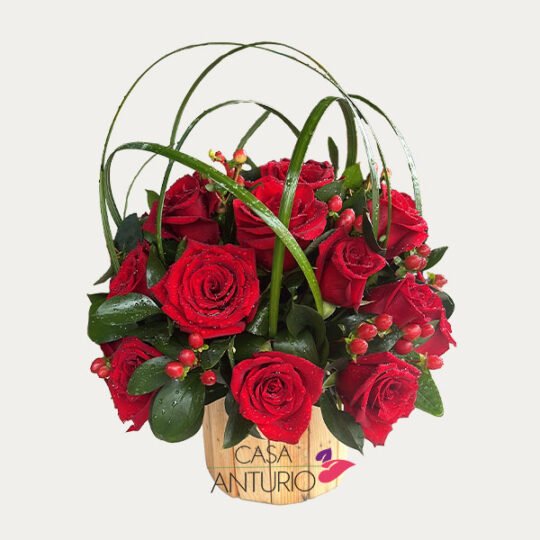 Arreglo en Rosas Rojas y Cafeto