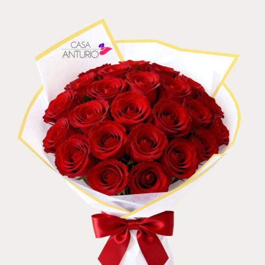 Bouquet de 24 Rosas Rojas en Papel Coreano
