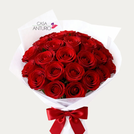 Bouquet de 24 Rosas Rojas en Papel Coreano