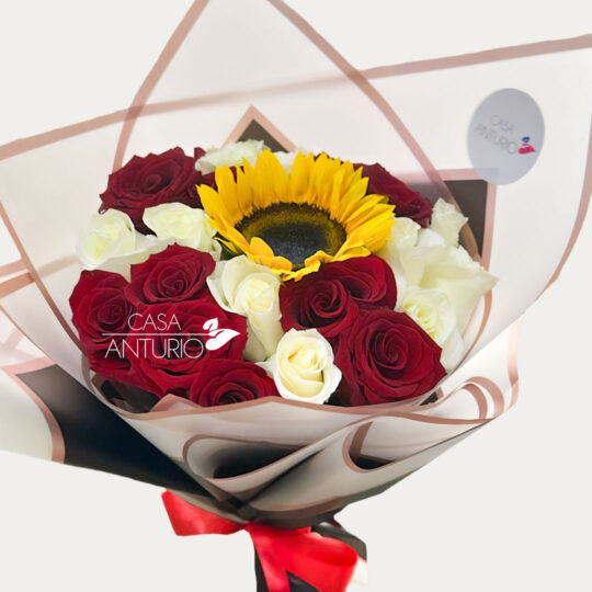 Bouquet de Rosas Blancas y Roja con Girasol