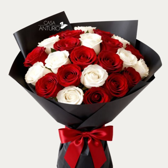 Bouquet de 24 Rosas Blancas y Rojas en Papel Coreano