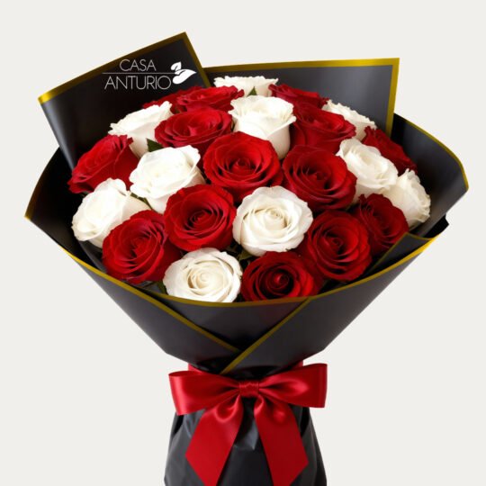 Bouquet de 24 Rosas Blancas y Rojas en Papel Coreano