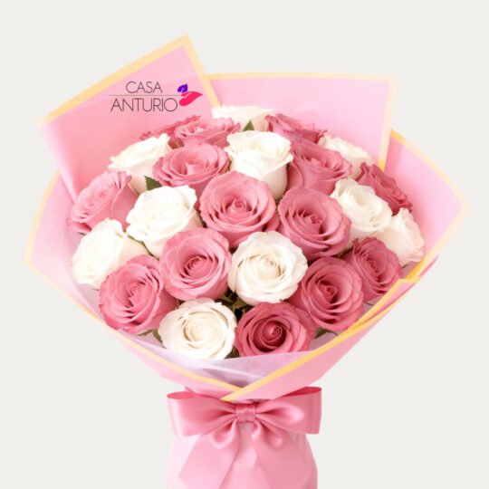 Bouquet de 24 Rosas Blancas y Rosadas en Papel Coreano