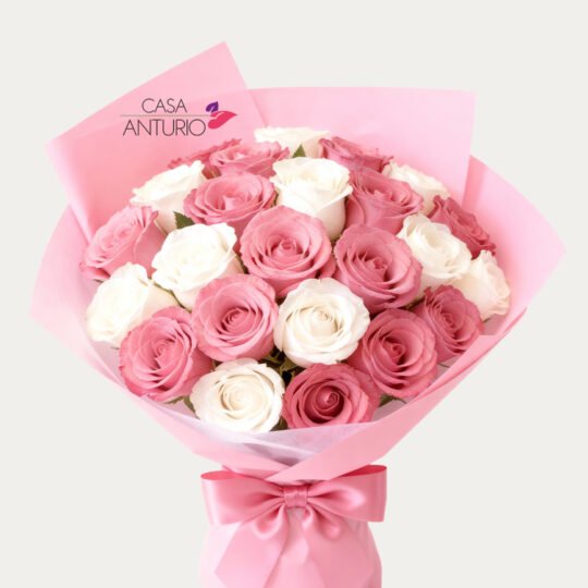 Bouquet de 24 Rosas Blancas y Rosadas en Papel Coreano