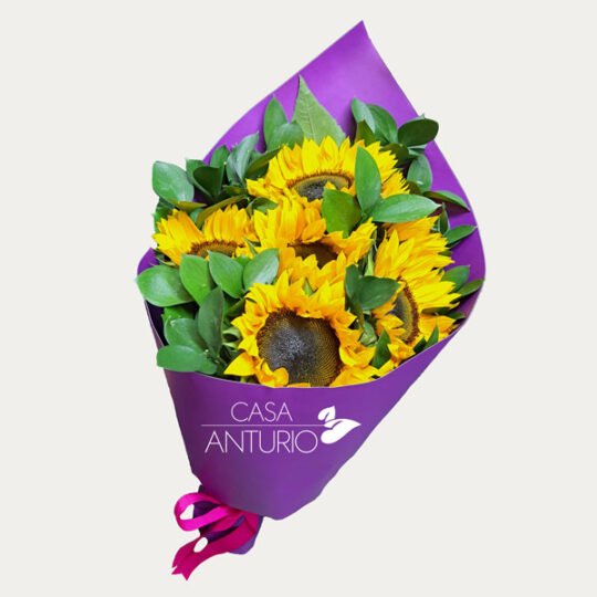 Bouquet de Girasoles y Rusco