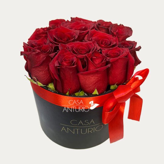 Arreglo Circular de Rosas Rojas