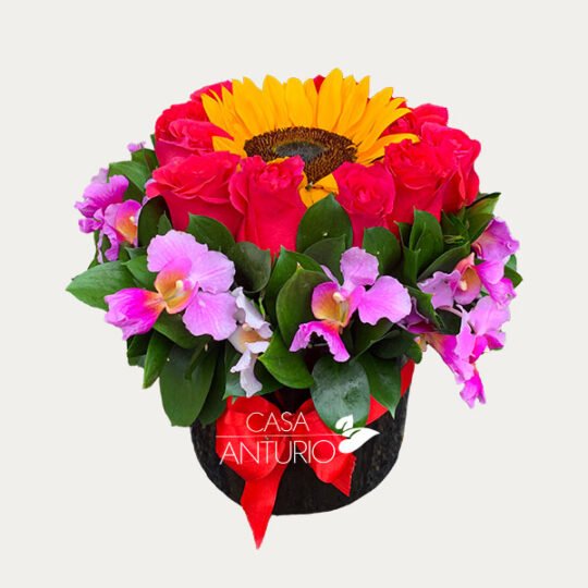 Arreglo de Rosa Roja, Girasol y Orquidea