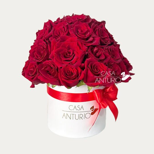 Caja Circular de Rosas Rojas