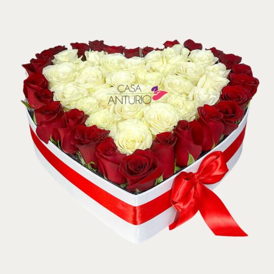 Arreglo Corazón en Rosas Rojas y Blancas