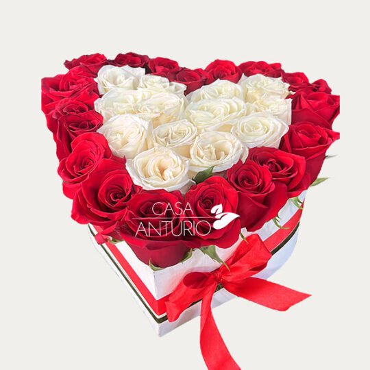 Arreglo Corazón en Rosas Rojas y Blancas