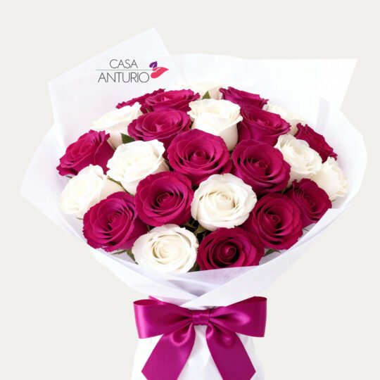 Bouquet de 24 Rosas Blancas y Fucsias en Papel Coreano