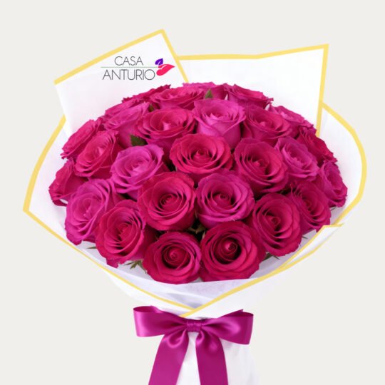 Bouquet de 24 Rosas Fucsias en Papel Coreano
