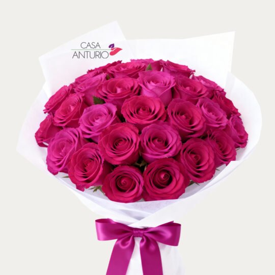 Bouquet de 24 Rosas Fucsias en Papel Coreano