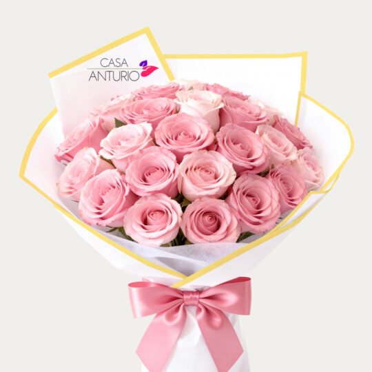 Bouquet de 24 Rosas Rosadas en Papel Coreano