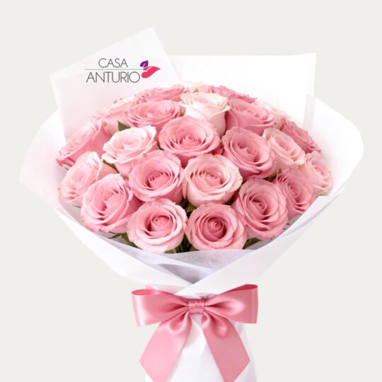 Bouquet de 24 Rosas Rosadas en Papel Coreano