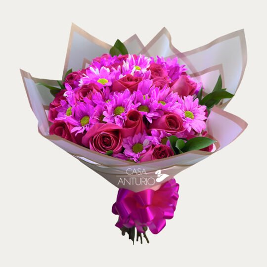 Bouquet de Rosas Fucsia y Margaritas Fucsia