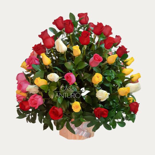 Arreglo en Rosas Coloridas