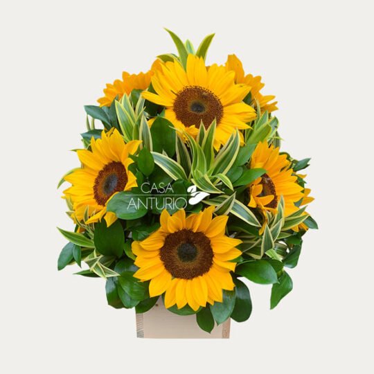 Arreglo de Girasoles