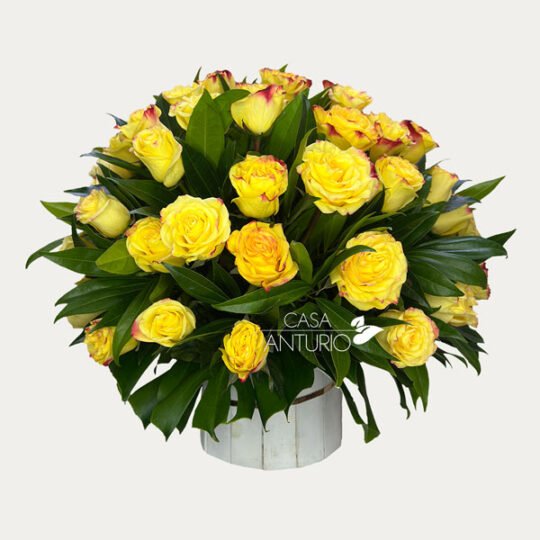 Arreglo en Rosas Amarillas con Follaje