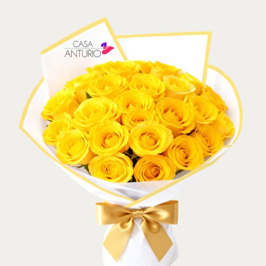 Bouquet de 24 Rosas Amarillas en Papel Coreano