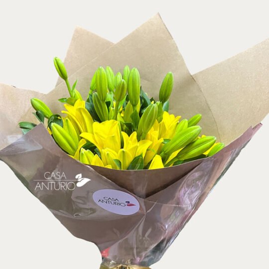 Bouquet de Lirios Amarillos