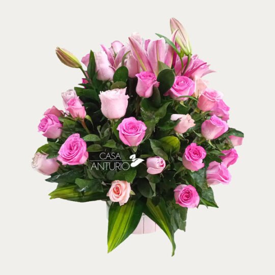 Arreglo en Rosas Rosadas y Lirios