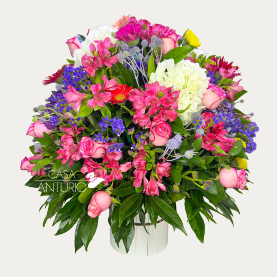 Arreglo de Rosas, Astromelias, Statice y Gérberas