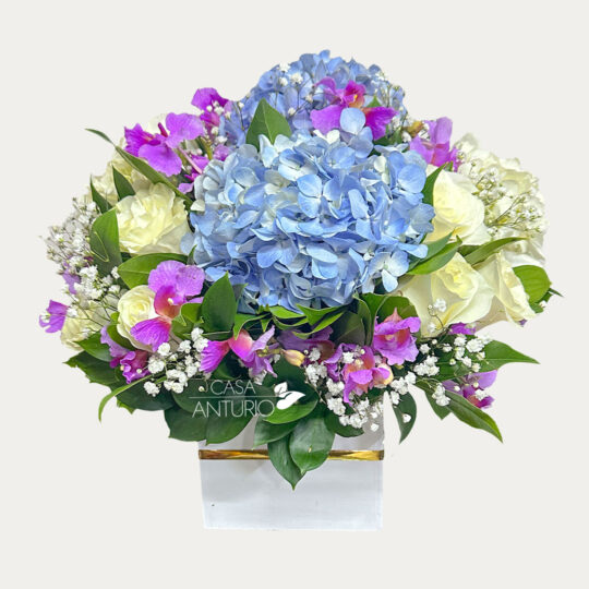 Arreglo de Rosas, Hortensias, Perla y Orquídeas Hawaianas