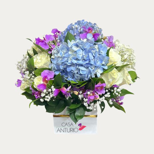 Arreglo de Rosas, Hortensias, Perla y Orquídeas Hawaianas