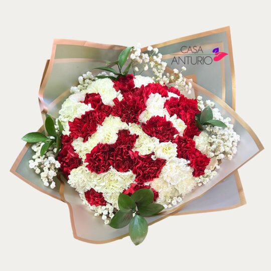 Bouquet de Claveles