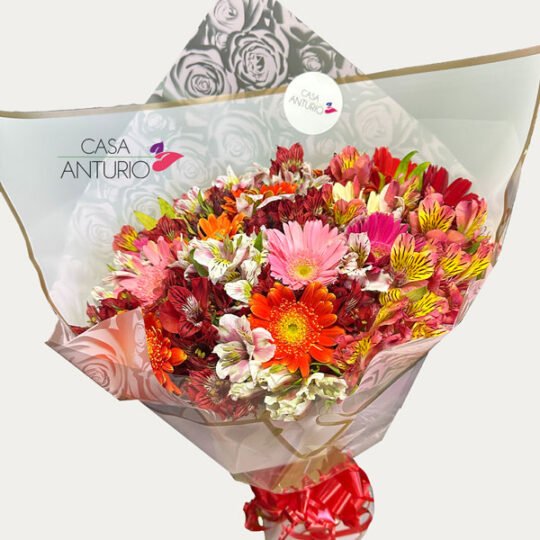 Bouquet de Gerberas y Astromelias