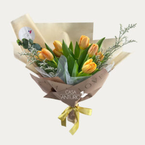 Bouquet de 10 Tulipanes y Follajes