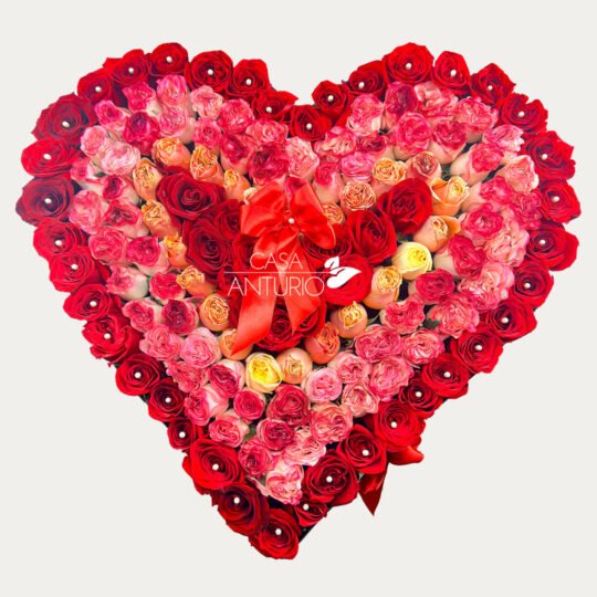 Corazón Gigante de Rosas