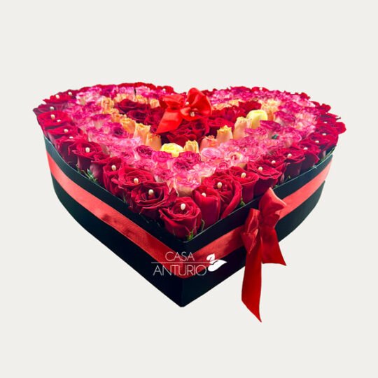 Corazón Gigante de Rosas