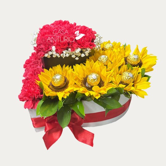 Corazón de Claveles, Girasoles, Perlas y Chocolates