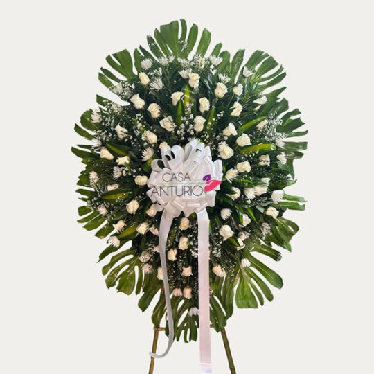 Corona Fúnebre de Rosas, Crisantemos, Montecasino y Hoja Rota