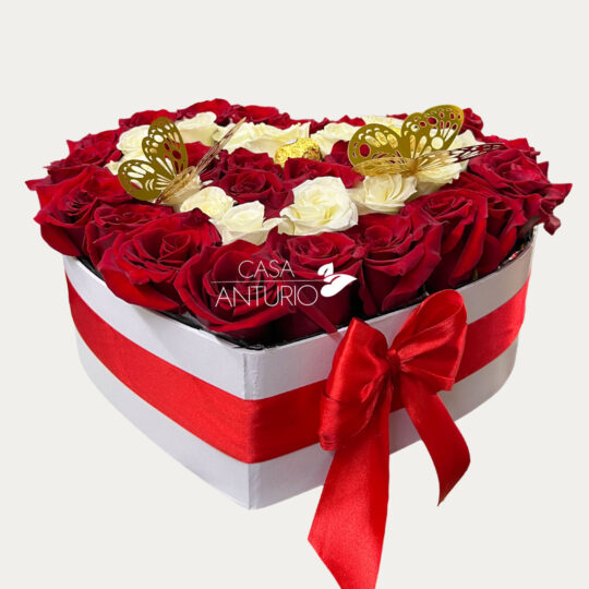 Corazón de Rosas Rojas, Blancas y Mariposas